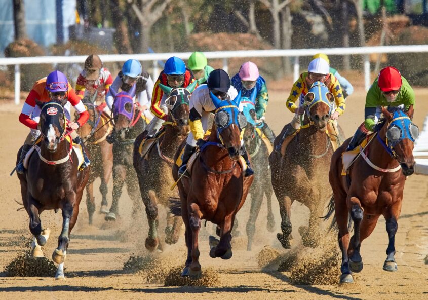 Cheltenham Gold Cup Day